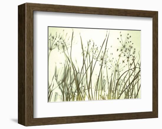 Watery Grasses 3-Jenny Kraft-Framed Art Print
