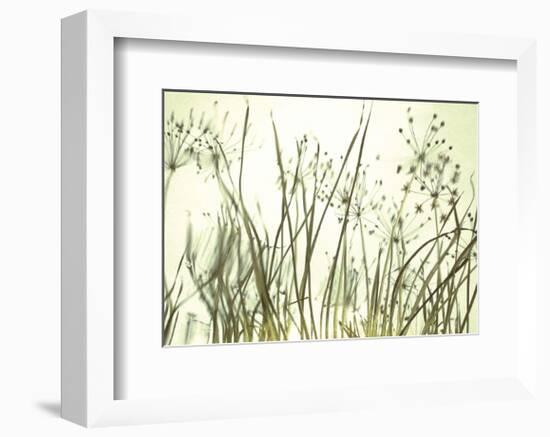 Watery Grasses 3-Jenny Kraft-Framed Art Print