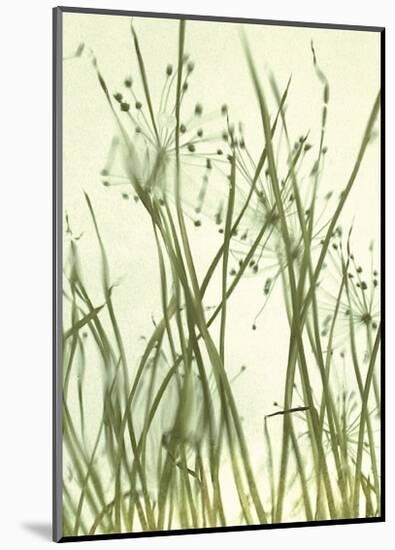 Watery Grasses I-Jenny Kraft-Mounted Giclee Print