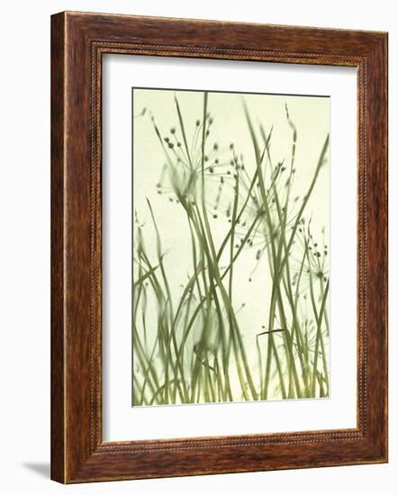 Watery Grasses I-Jenny Kraft-Framed Giclee Print