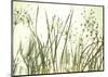 Watery Grasses III-Jenny Kraft-Mounted Giclee Print