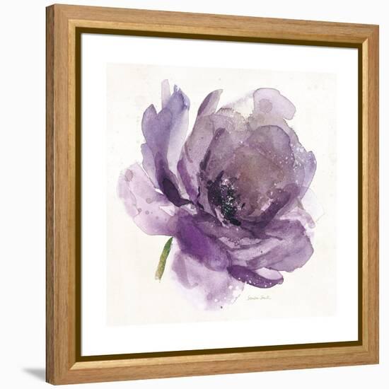 Watery Plum Bloom 1-Sandra Smith-Framed Stretched Canvas