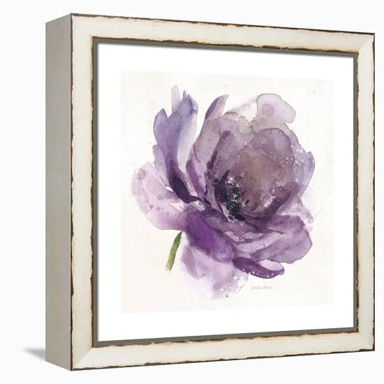 Watery Plum Bloom 1-Sandra Smith-Framed Stretched Canvas