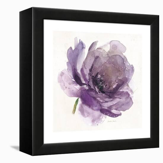 Watery Plum Bloom 1-Sandra Smith-Framed Stretched Canvas