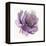 Watery Plum Bloom 1-Sandra Smith-Framed Stretched Canvas