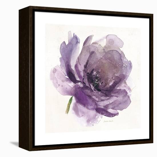 Watery Plum Bloom 1-Sandra Smith-Framed Stretched Canvas