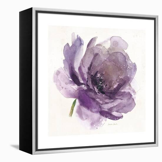 Watery Plum Bloom 1-Sandra Smith-Framed Stretched Canvas