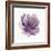 Watery Plum Bloom 1-Sandra Smith-Framed Premium Giclee Print