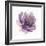 Watery Plum Bloom 1-Sandra Smith-Framed Premium Giclee Print