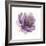 Watery Plum Bloom 1-Sandra Smith-Framed Art Print