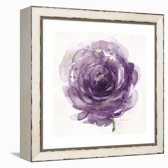 Watery Plum Bloom 2-Sandra Smith-Framed Stretched Canvas