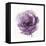 Watery Plum Bloom 2-Sandra Smith-Framed Stretched Canvas