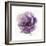 Watery Plum Bloom 2-Sandra Smith-Framed Premium Giclee Print