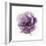 Watery Plum Bloom 2-Sandra Smith-Framed Art Print