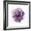 Watery Plum Bloom 2-Sandra Smith-Framed Art Print