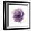 Watery Plum Bloom 2-Sandra Smith-Framed Art Print