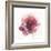 Watery Red Bloom 2-Sandra Smith-Framed Art Print