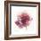 Watery Red Bloom 2-Sandra Smith-Framed Art Print