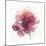 Watery Red Bloom 2-Sandra Smith-Mounted Art Print