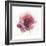 Watery Red Bloom 2-Sandra Smith-Framed Art Print