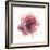 Watery Red Bloom 2-Sandra Smith-Framed Art Print