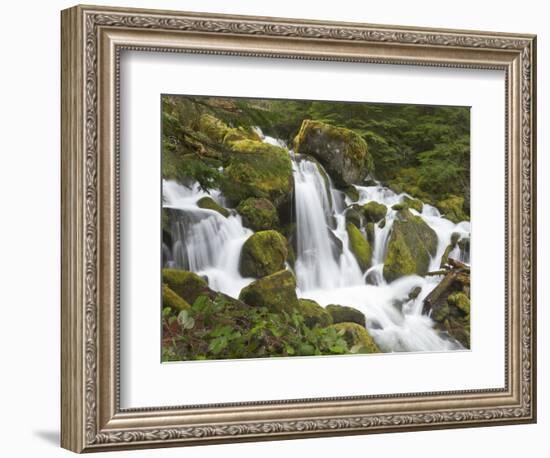 Watson Creek, Oregon, USA-William Sutton-Framed Photographic Print