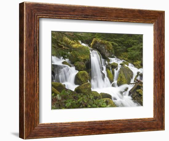 Watson Creek, Oregon, USA-William Sutton-Framed Photographic Print