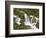 Watson Creek, Oregon, USA-William Sutton-Framed Photographic Print