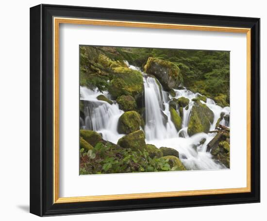 Watson Creek, Oregon, USA-William Sutton-Framed Photographic Print