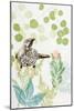 Wattlebird and Pincushion Protea-Trudy Rice-Mounted Art Print