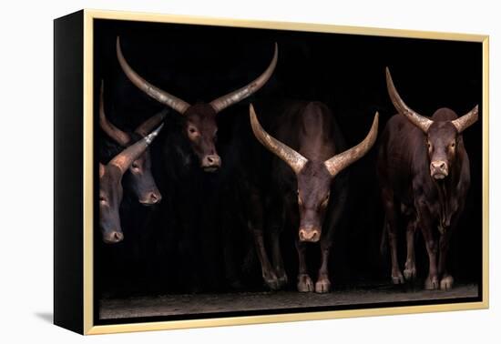 Watusi family-Xavier Ortega-Framed Premier Image Canvas