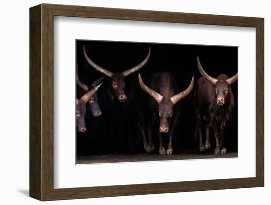 Watusi family-Xavier Ortega-Framed Photographic Print