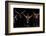 Watusi family-Xavier Ortega-Framed Photographic Print