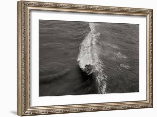 Wave 1-Lee Peterson-Framed Photographic Print