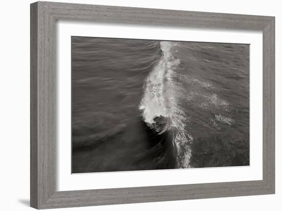 Wave 1-Lee Peterson-Framed Photographic Print