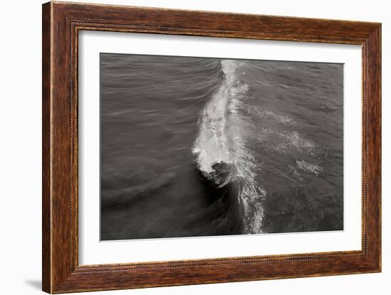 Wave 1-Lee Peterson-Framed Photographic Print