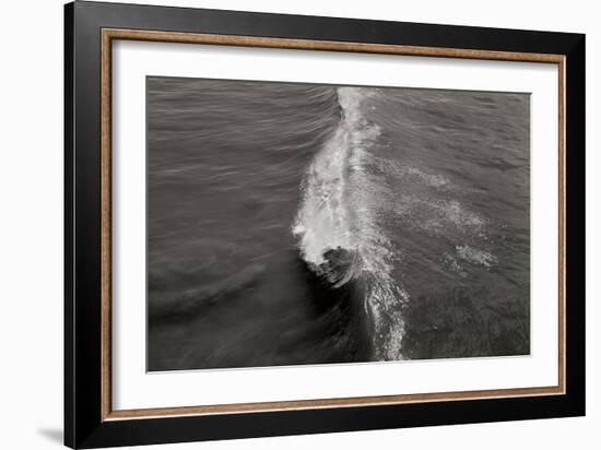 Wave 1-Lee Peterson-Framed Photographic Print