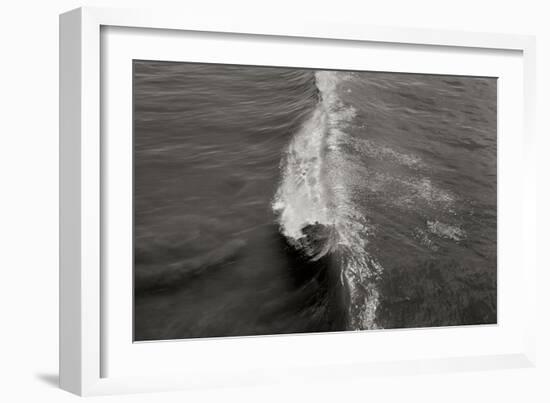 Wave 1-Lee Peterson-Framed Photographic Print