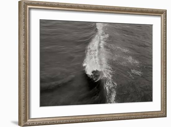 Wave 1-Lee Peterson-Framed Photographic Print