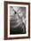 Wave 3-Lee Peterson-Framed Photographic Print