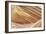 Wave Closeup-Larry Malvin-Framed Photographic Print