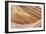 Wave Closeup-Larry Malvin-Framed Photographic Print