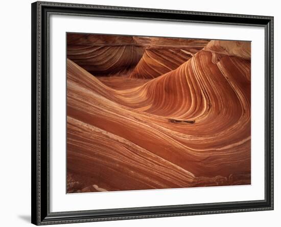 Wave, Coyote Buttes Area, Vermilion Cliffs Wilderness Area, Paria Canyon, Arizona, USA-Adam Jones-Framed Photographic Print