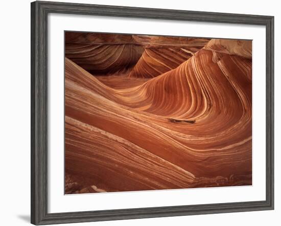 Wave, Coyote Buttes Area, Vermilion Cliffs Wilderness Area, Paria Canyon, Arizona, USA-Adam Jones-Framed Photographic Print