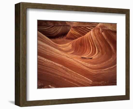 Wave, Coyote Buttes Area, Vermilion Cliffs Wilderness Area, Paria Canyon, Arizona, USA-Adam Jones-Framed Photographic Print