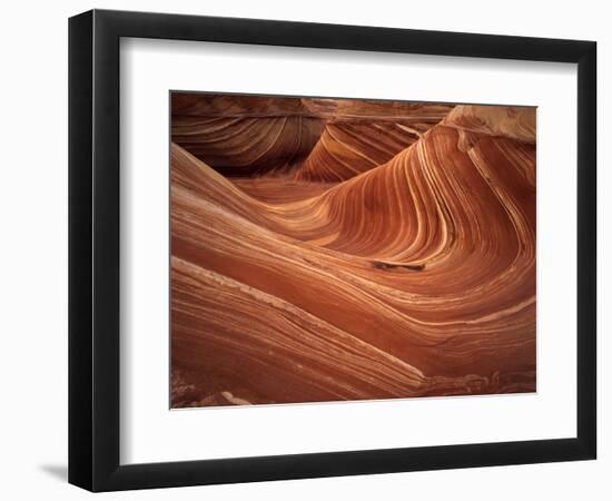 Wave, Coyote Buttes Area, Vermilion Cliffs Wilderness Area, Paria Canyon, Arizona, USA-Adam Jones-Framed Photographic Print