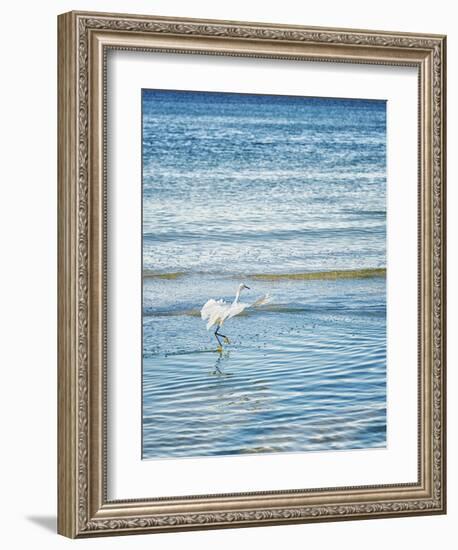 Wave Dancing-Mary Lou Johnson-Framed Art Print