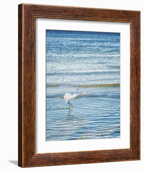 Wave Dancing-Mary Lou Johnson-Framed Art Print