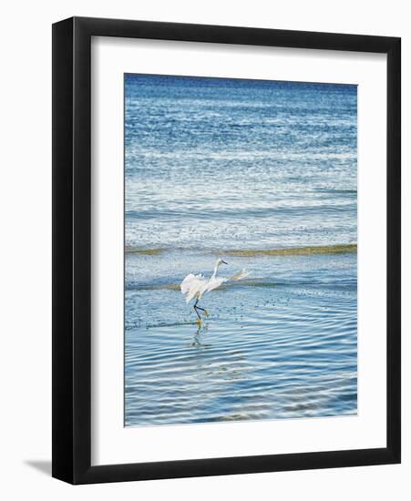 Wave Dancing-Mary Lou Johnson-Framed Art Print