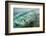 Wave folding over as it breaks in Kailua Bay, Oahu, Hawaii-Mark A Johnson-Framed Photographic Print